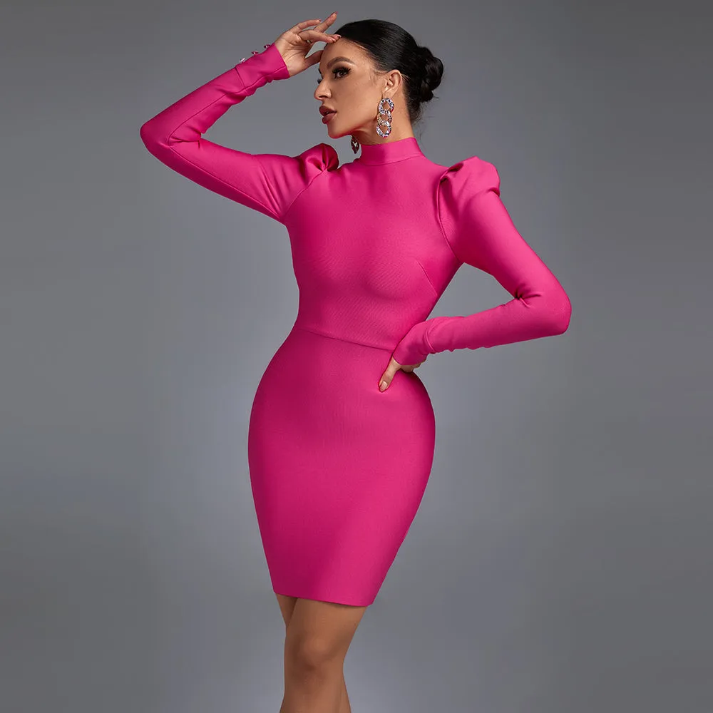 Chic High Neck Long Sleeve Mini Bandage Dress