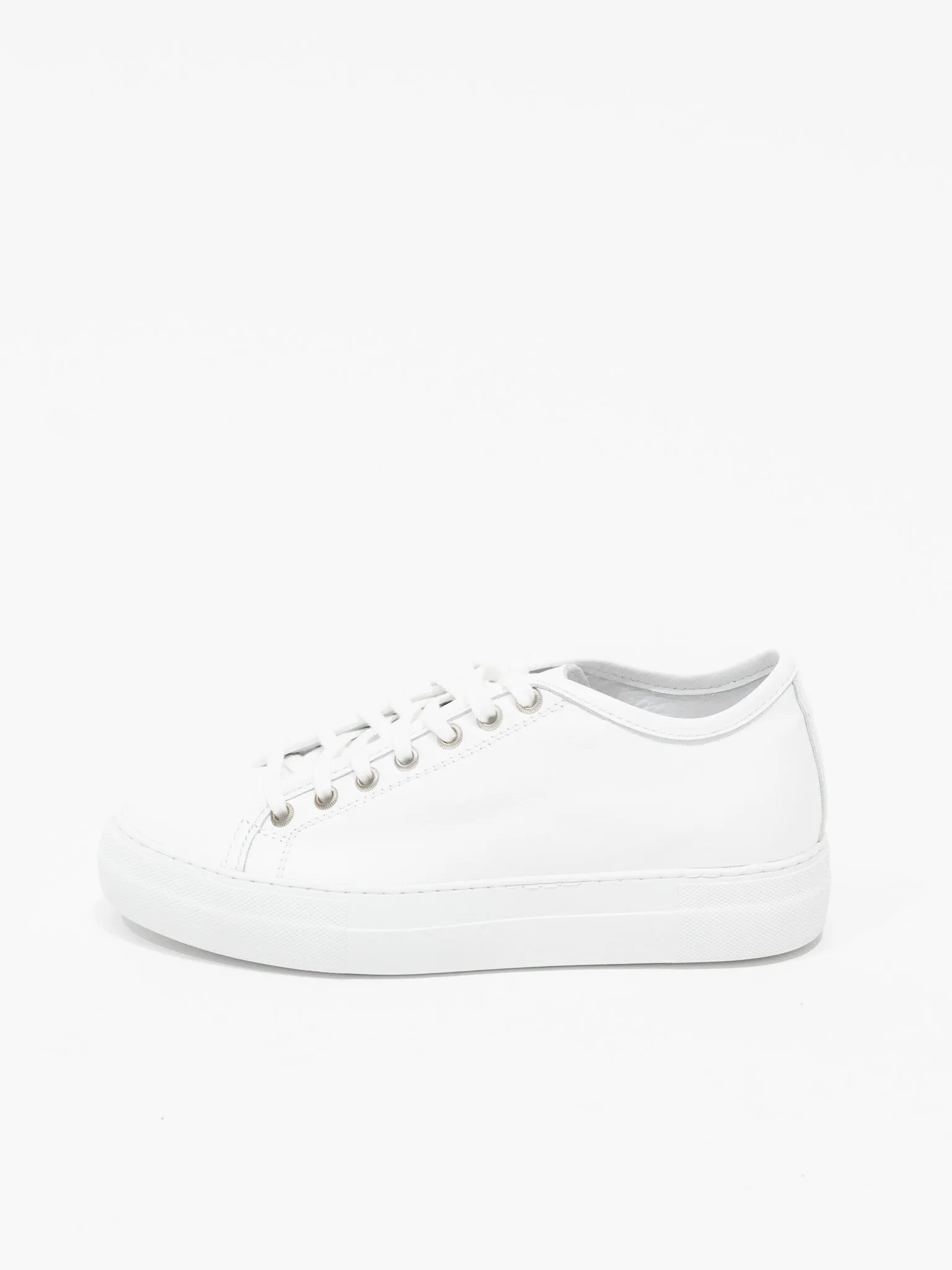 Fox Sneaker - White