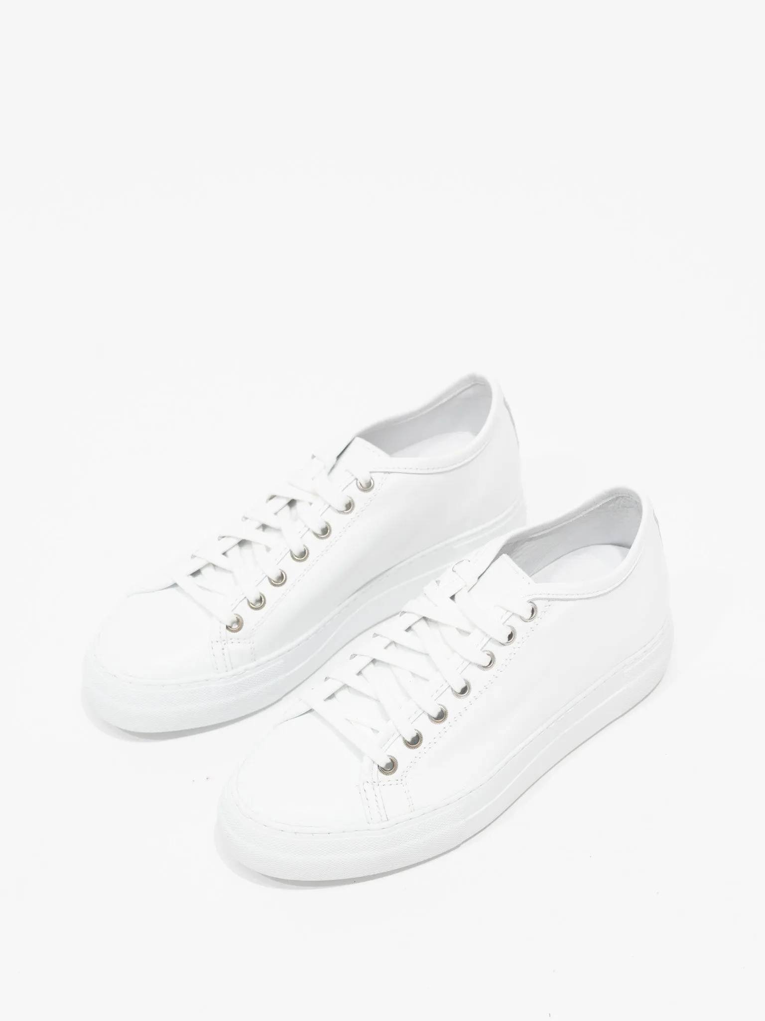 Fox Sneaker - White
